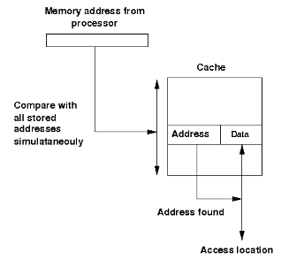 Virtual Labs