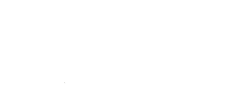 column_wedge_pin_left_1.png