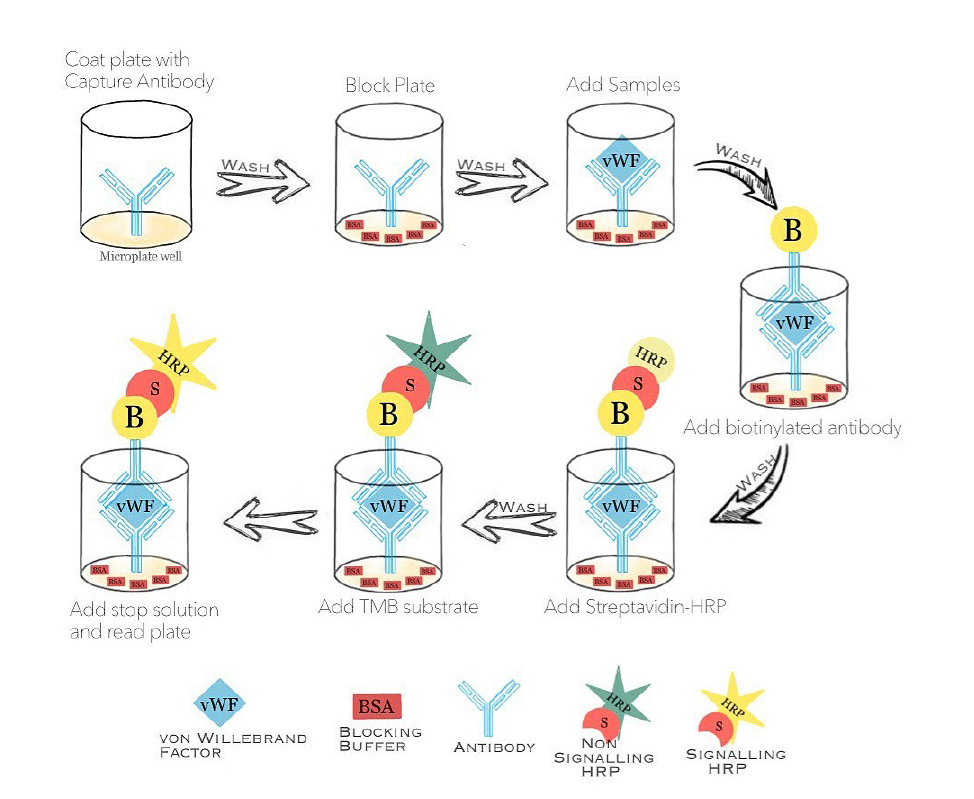 Virtual Labs