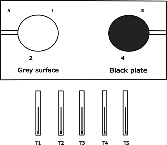 apparatus