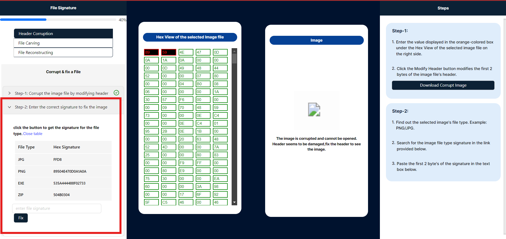 File Signatures