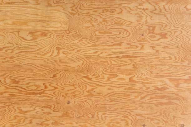 ply.jpg ply.jpg