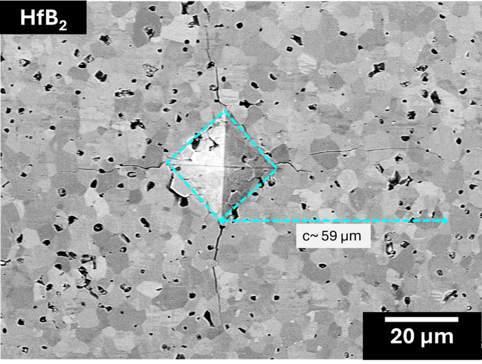 SEM Indentation Image