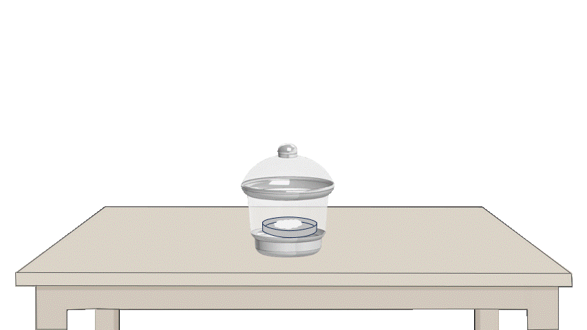 gif2