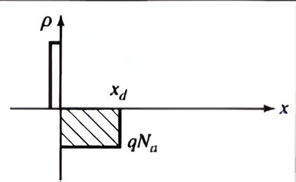 Positive voltage to P-side reduces barrier, allows current flow