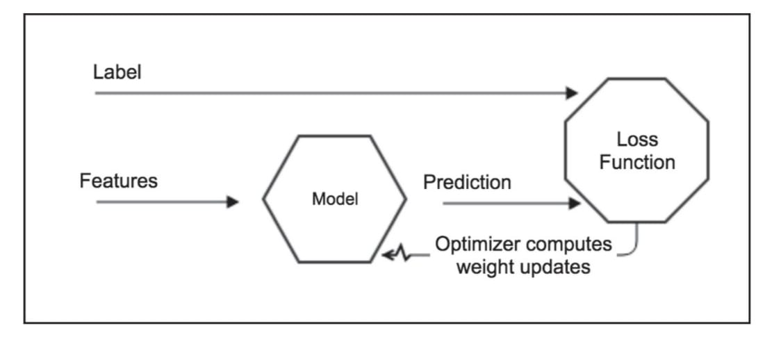 MLP Process both Forward and Backpropagation