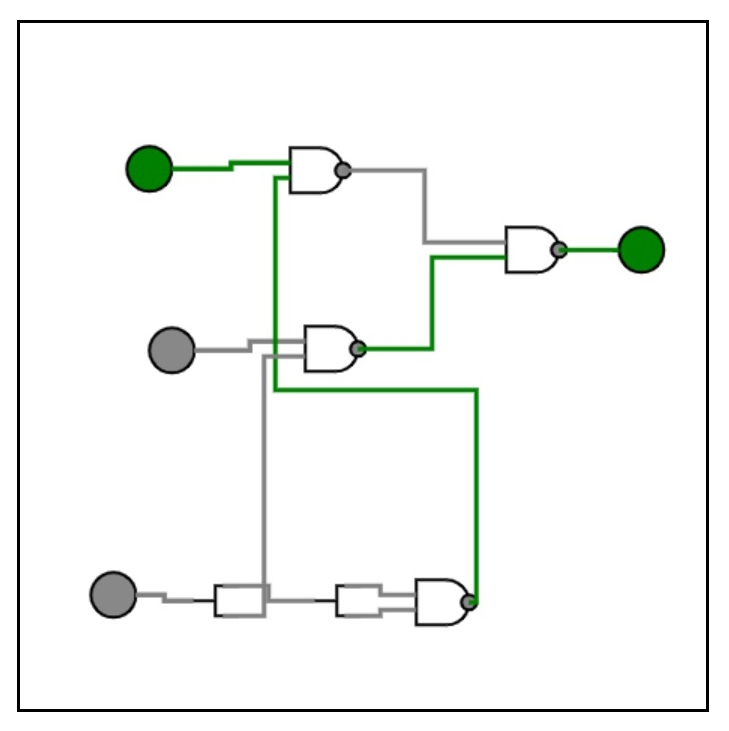 Virtual Labs
