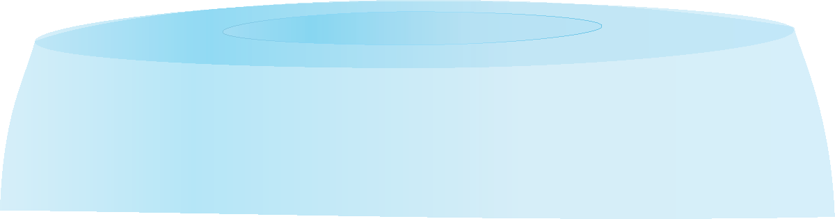flasksolution