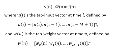 LMS Output Equation
