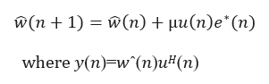 LMS Coefficient Update Equation
