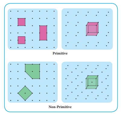 primitve/nonprimitive cell