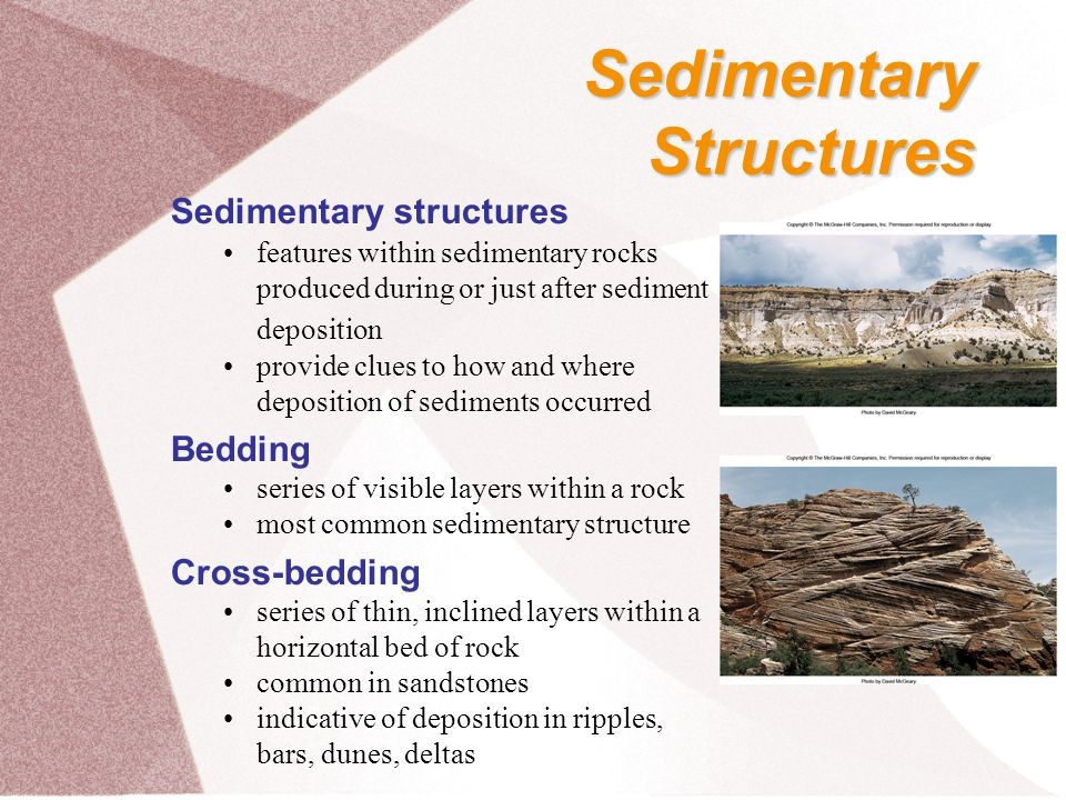 sediStructure1*************************************************