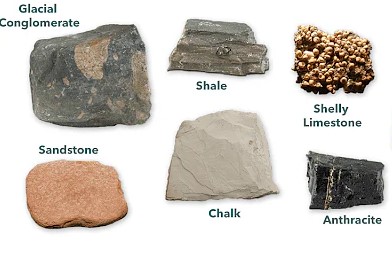 sediStructure2*************************************************