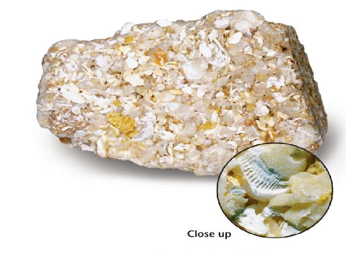 sediStructure22*************************************************