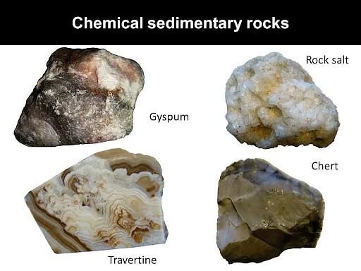 sediStructure3*************************************************