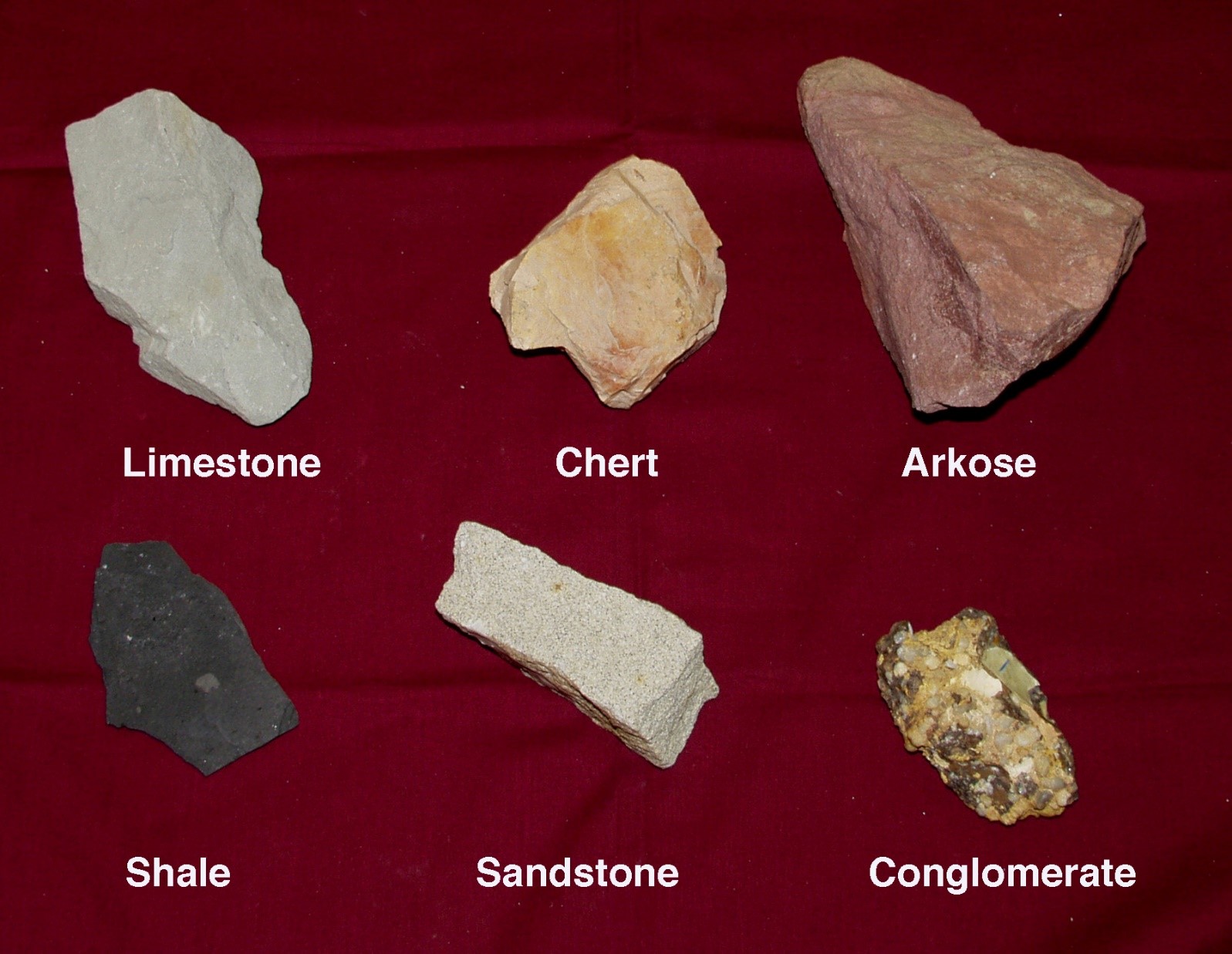 sediStructure4*************************************************