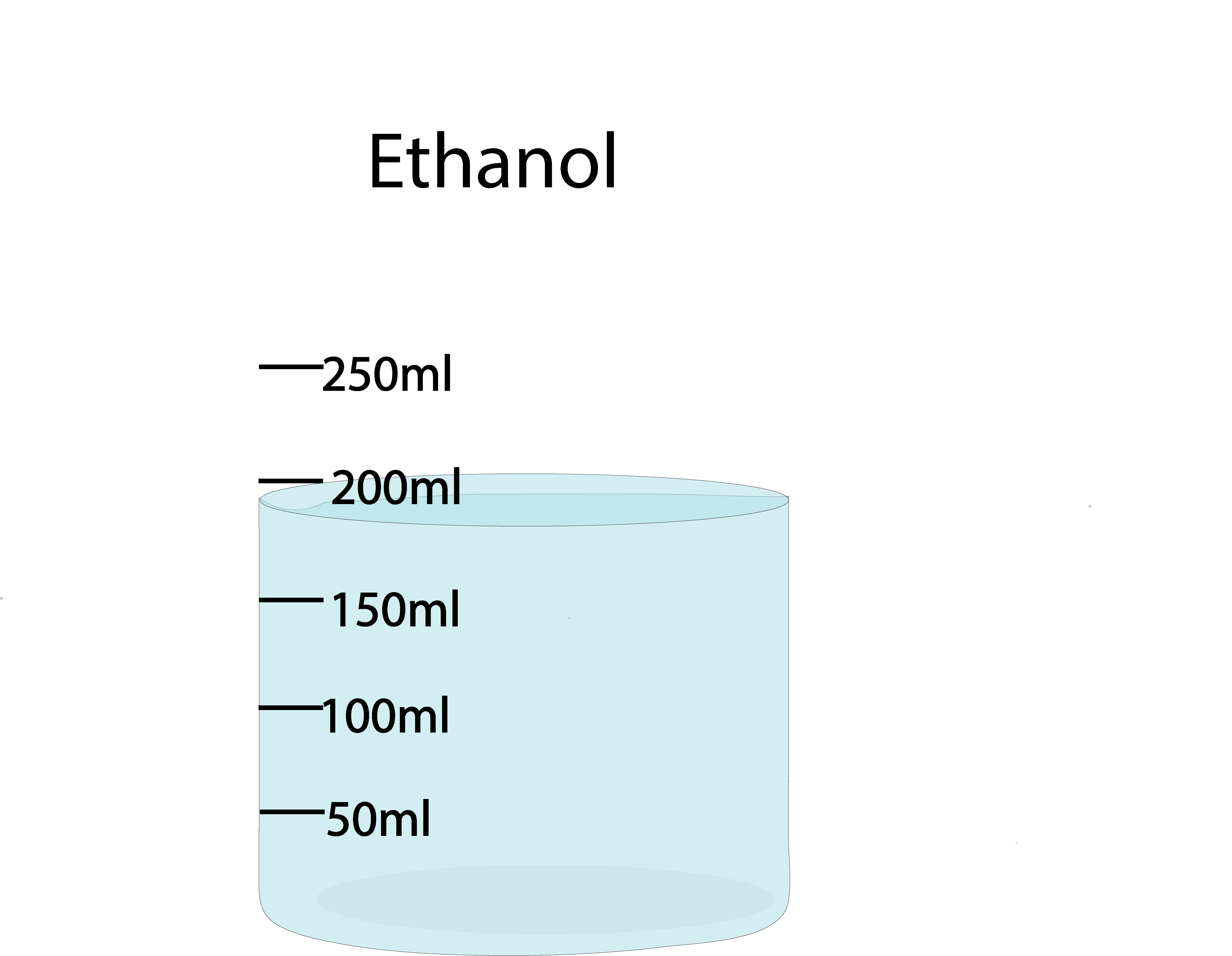 b2middle