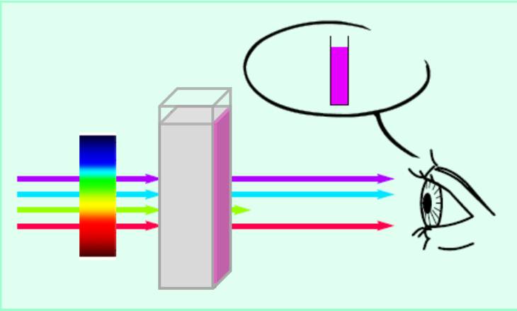 Virtual Labs