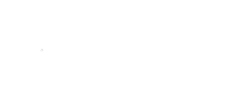 front_wedge_pin_14.png